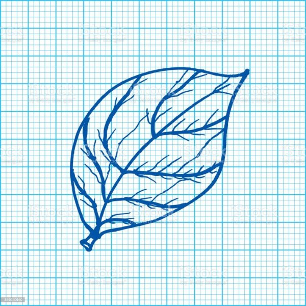 Листочек рисунок