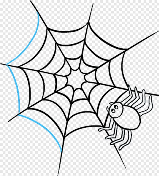 Паутинка карандашом