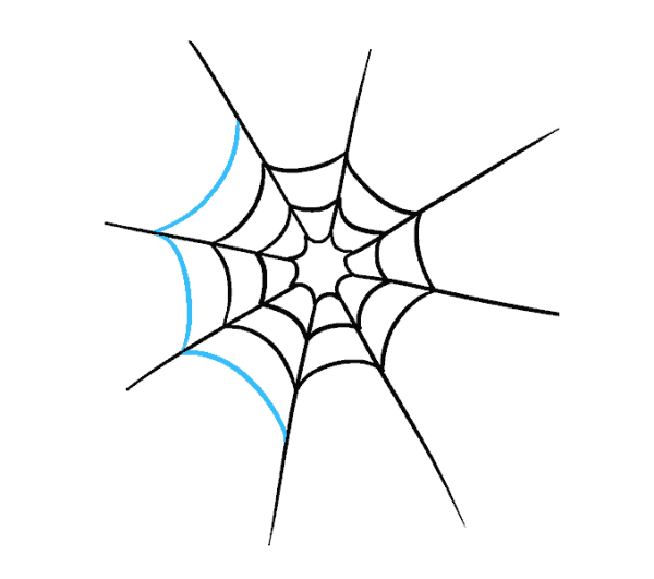 Паук на паутине