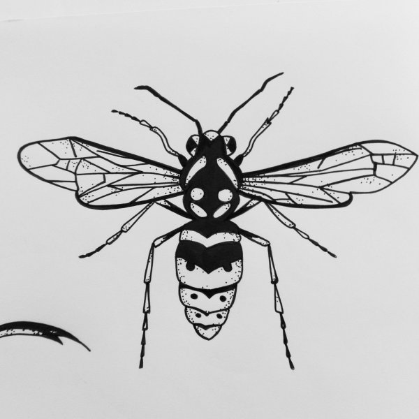 Оса для раскрашивания детям