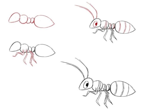 Пчелка рисунок карандашом