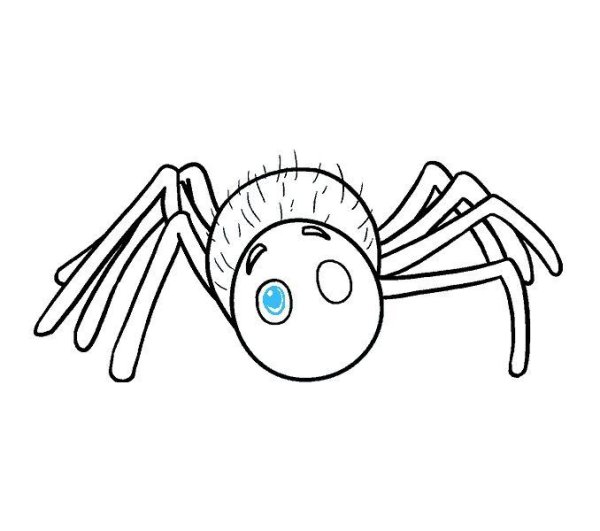 Мордочка паука рисунок