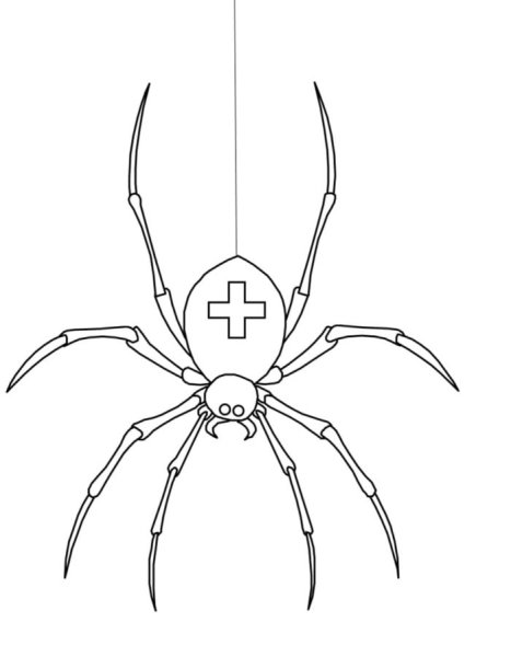Паук крестовик рисунок лёгкий