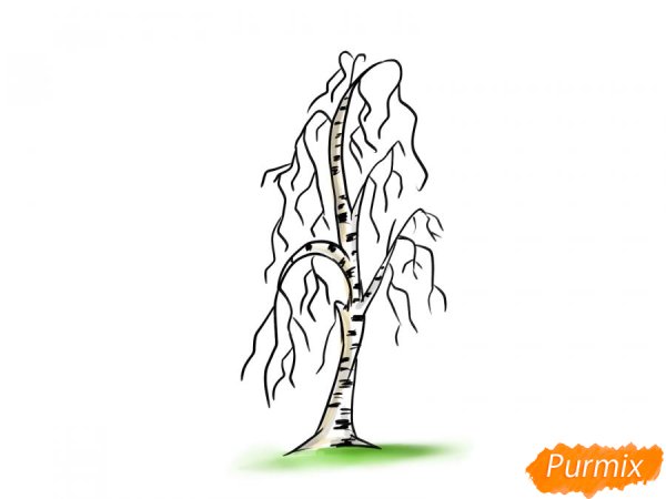 Береза без листьев