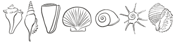 Стилизованная морская раковина