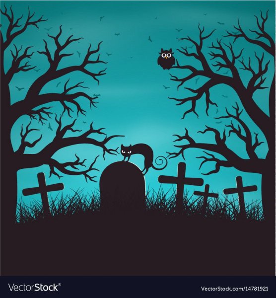 Кладбище Графика