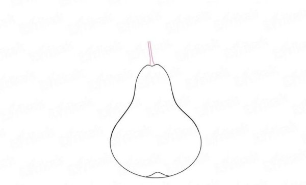 Поэтапное рисование груши