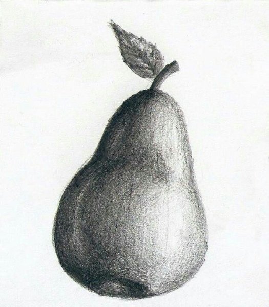 Фрукты карандашом