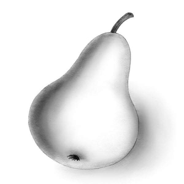 Груша рисунок
