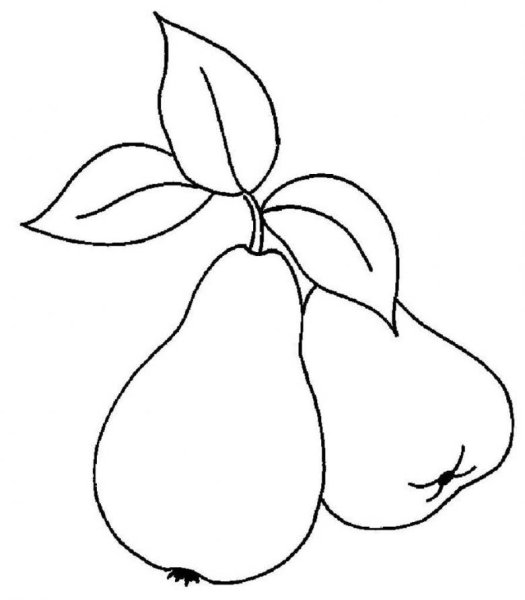 Груша карандашом