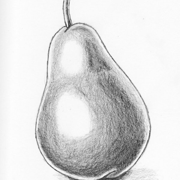 Фрукты штриховка карандашом