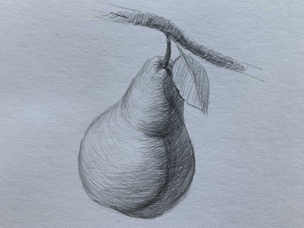 Фрукты карандашом