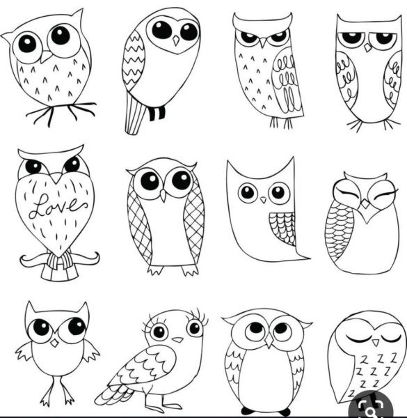 Сова рисунок для срисовки