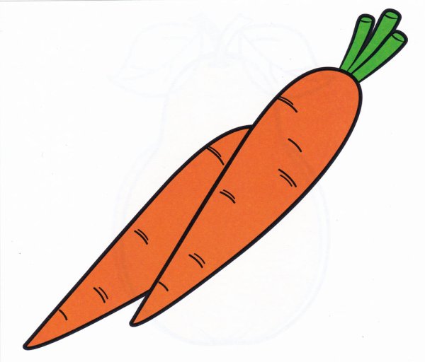 Морковь для рисования