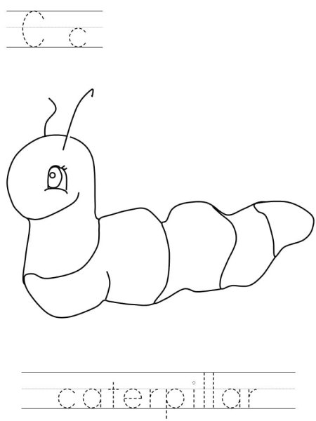 Раскраска личинка гусеница куколка бабочка