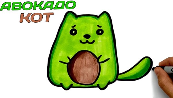 Авокадо котик
