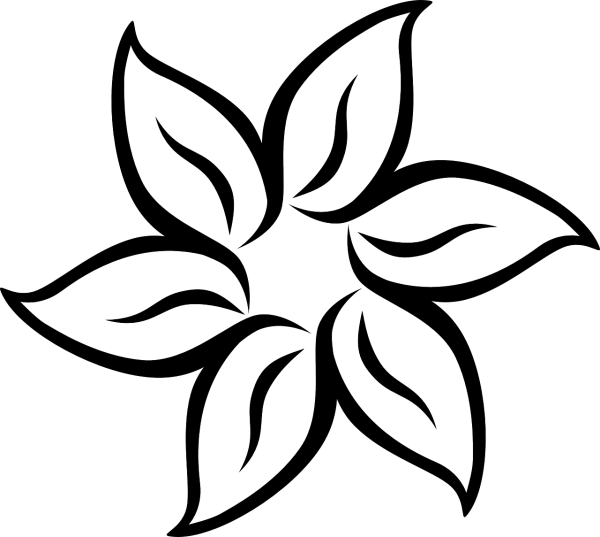 Контур цветов