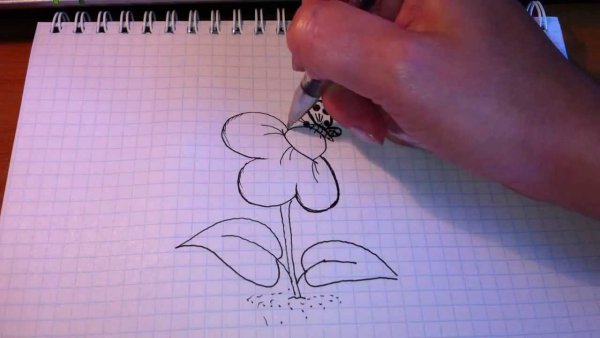 Обычные рисунки несложные