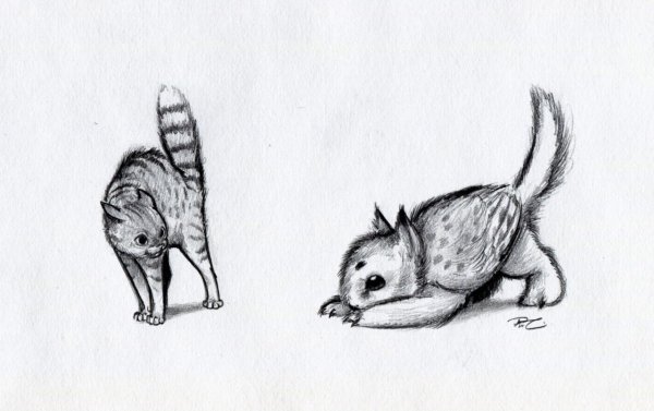 Необычные животные рисунки