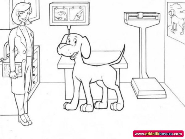 Предметы ветеринара