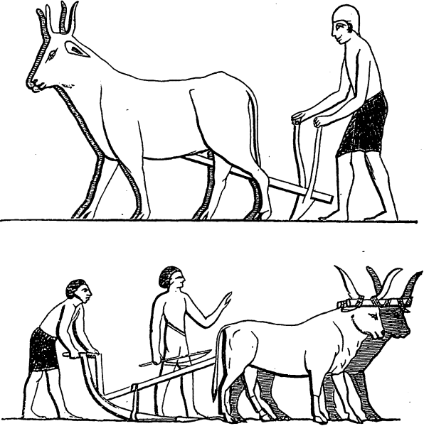 Земледелие в древнем Египте
