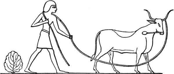 Жизнь в древнем Египте Адольф Эрман