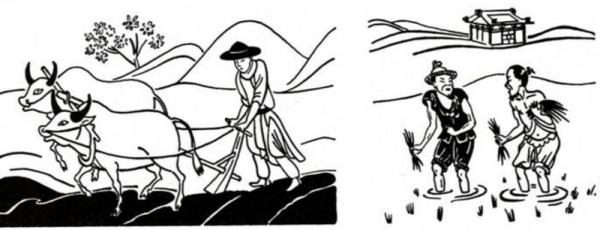 Земледелие в древнем Китае 5 класс