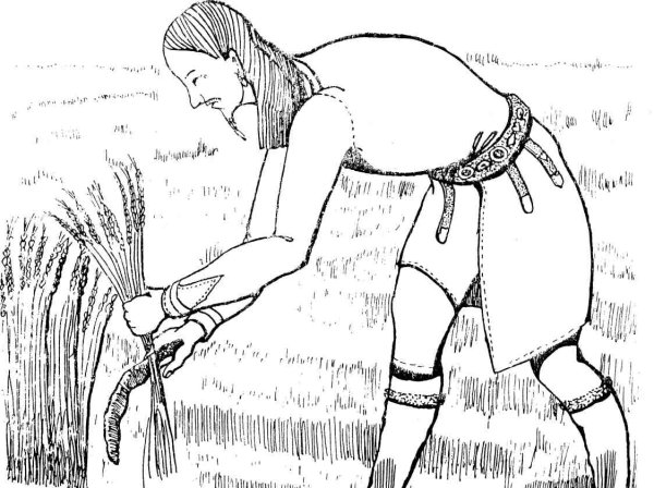 Занятия древних славян рисунок