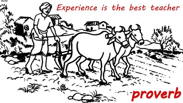 Земледелие раскраска