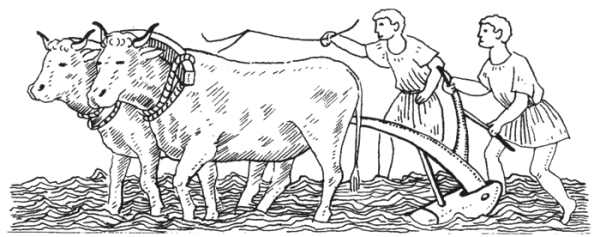 Скотоводство в древнем Риме