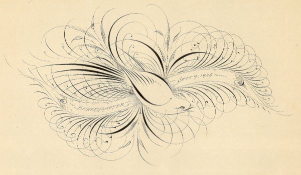 Каллиграфические цветы