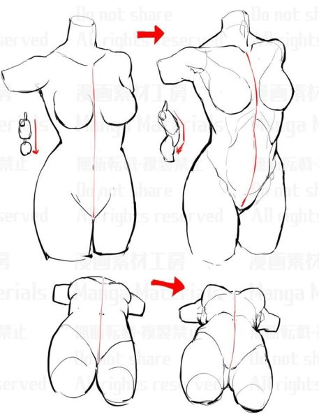 Зарисовки женского тела