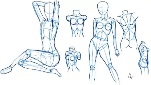 Тело для срисовывания