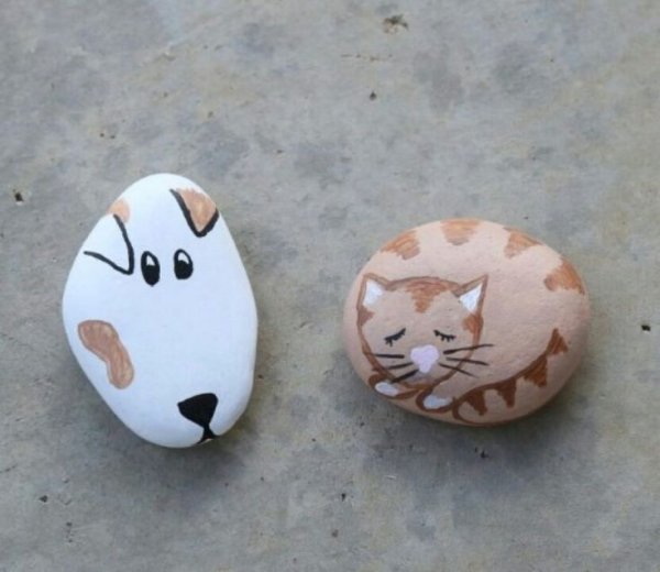 Мордочки на камнях