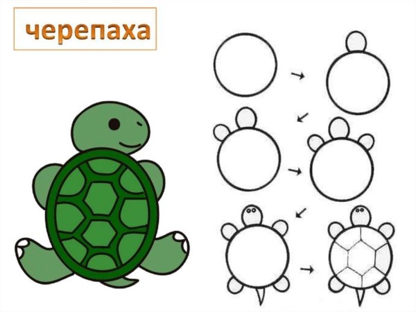 Аппликация шаблон