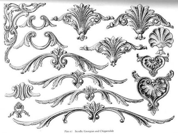 Орнамент рококо Акант