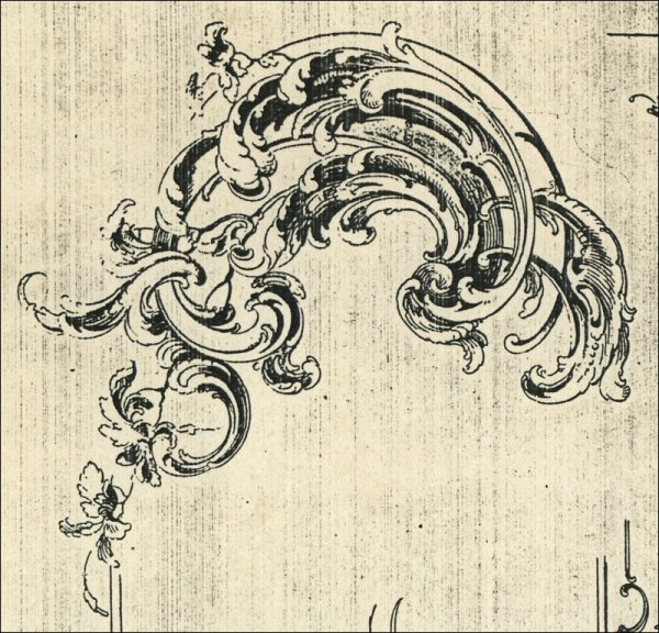 Орнамент рококо Акант