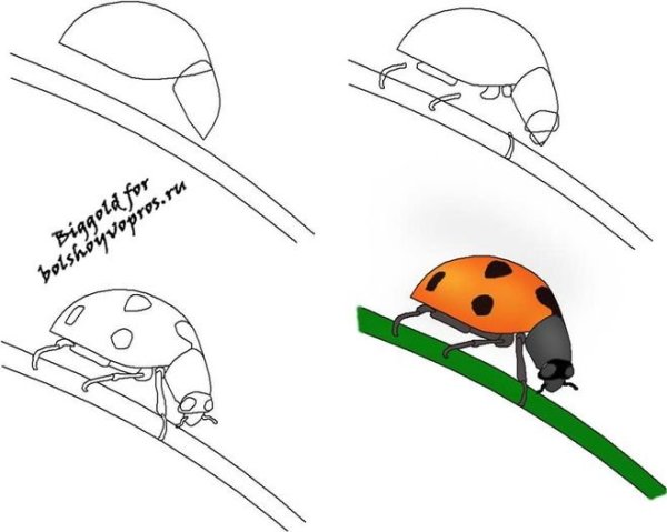 Простые схемы рисования для малышей