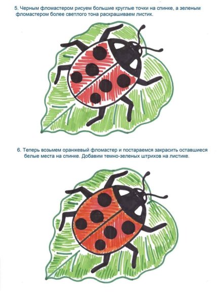 Божья коровка чертеж