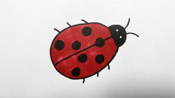 Божья коровка рисунок