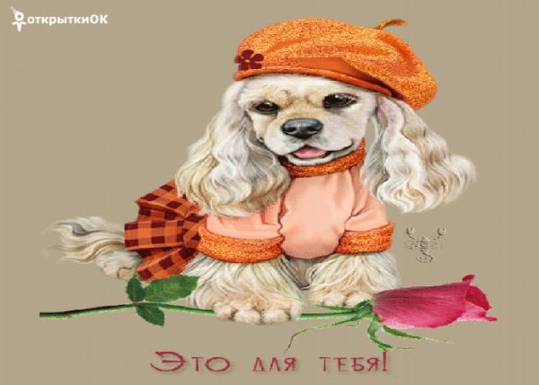 Красивые открытки просто так