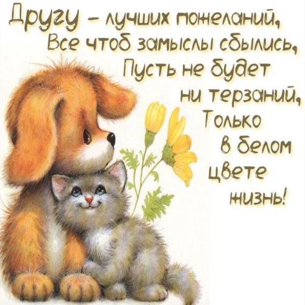 Открытки привет