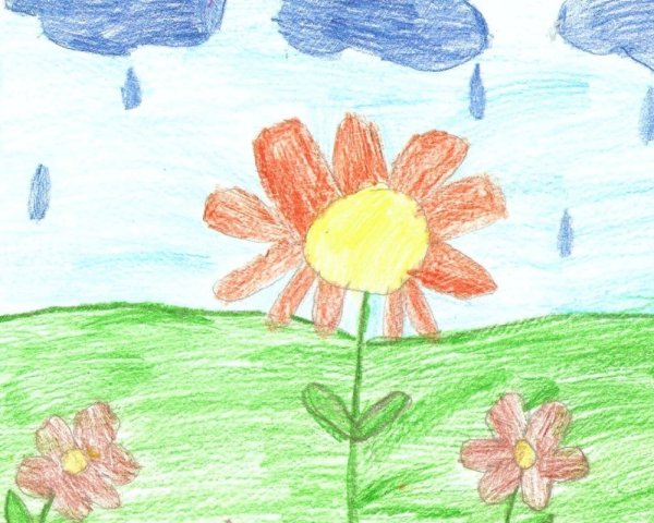 Рисование Цветочная Поляна
