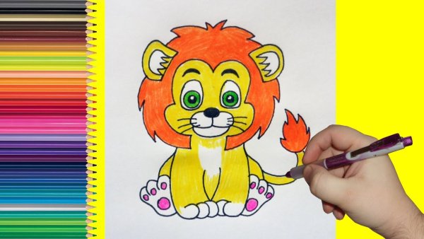 Лев рисунок поэтапно