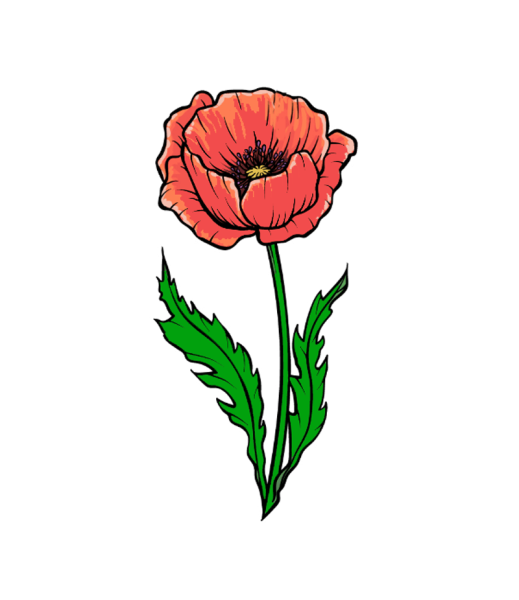 Рисунок мака легко