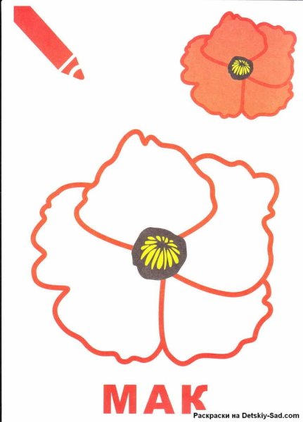 Поэтапное рисование мака