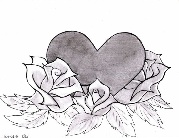 Красивые рисунки карандашом для срисовки