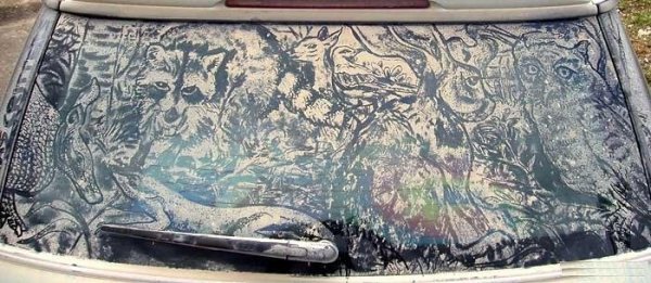 Картины на пыльных машинах