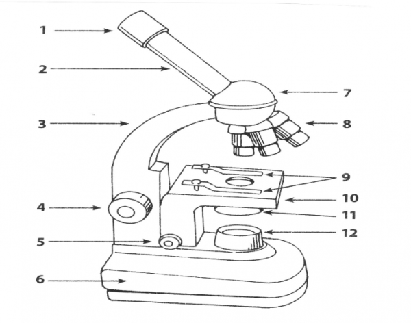 Микроскоп Биолан строение