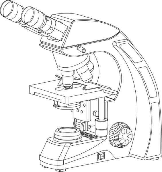 Рисунок микроскопа 5 класс